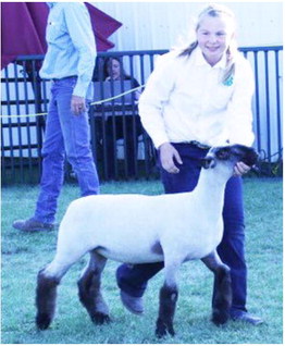 2020 Roosevelt County Fair  Indoor Exhibits Awards