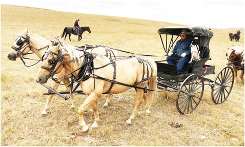 Wagon Train Sees Uptick In Participants