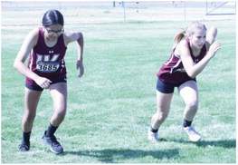 Wolves Boys Take Fourth At  Sidney Cross Country Meet