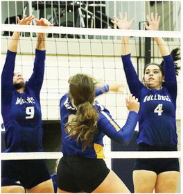 Bainville Battles Fairview Volleyball Squad