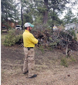 Fire Mitigation Efforts Ongoing At Pines