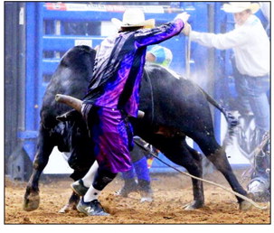 Montana Bullfighter Harrell Returns To Stampede