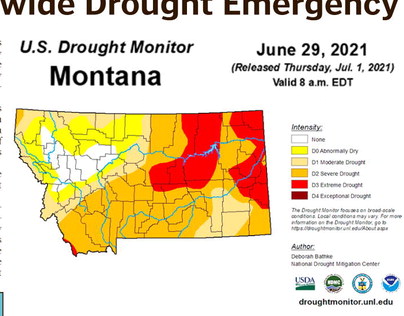 Gianforte Declares Statewide Drought Emergency