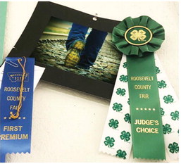 Roosevelt County Fair Awards Indoor Exhibit Winners