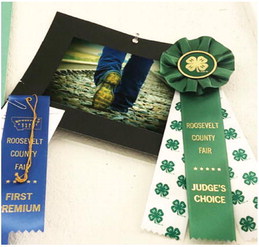 Roosevelt County Fair Awards  Indoor Exhibit Winners