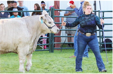 Whitmus Repeats As  Grand Champion For Beef