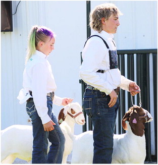 Featherston Earns Grand Champion Honors