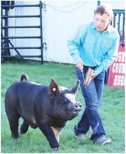 Grand Champions Announced  For Roosevelt County Fair