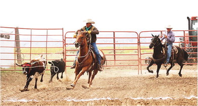 Steppler Ranch Wins  Ranch Rodeo Circuit Finals