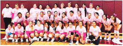 Volleyball Program Holds Pink Night