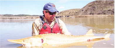 Corps Releases Plan To Address  Pallid Sturgeon At Fort Peck Dam