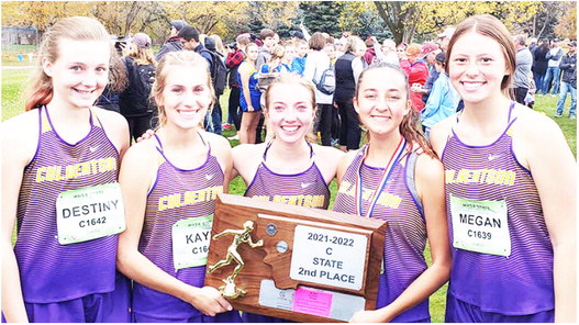 Culbertson/Bainville Girls Earn Second At State