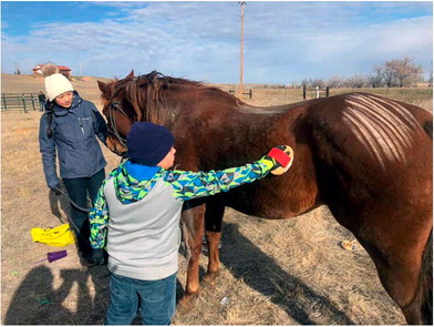 Creator’s Game Horsemanship  Clinic Hosted In Poplar