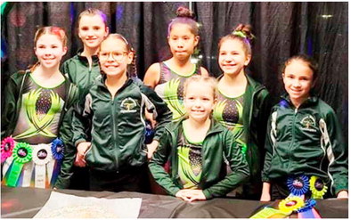 Area Gymnasts Place At Meet