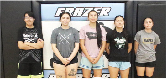 Frazer Bearcubs Look Forward To Volleyball Season