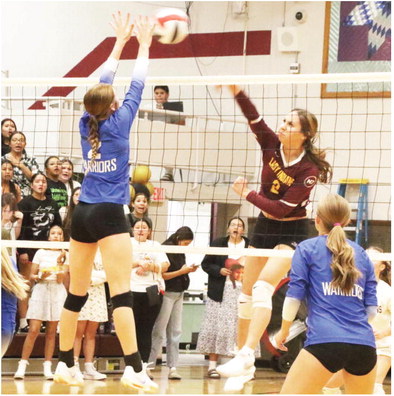 Poplar Falls Short In Home Volleyball Match Against Fairview