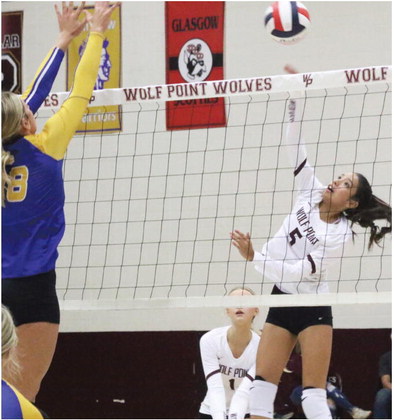 Lady Wolves Fall To Scobey