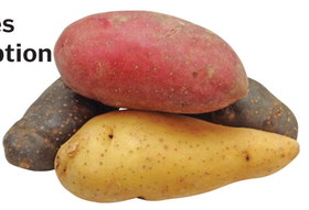 Prairie Fare: Keep Your Eyes  On Potatoes As A Menu Option